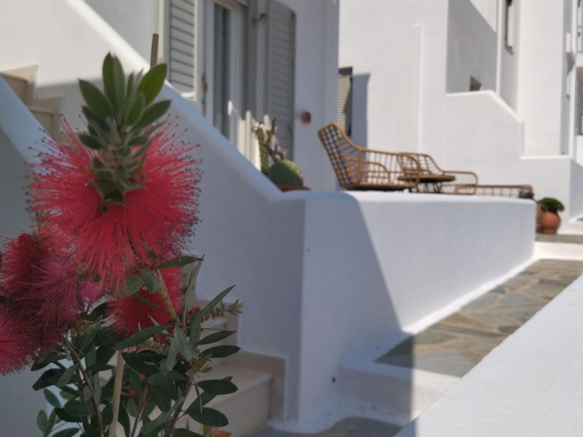 Gaia Serifos Apartments Rámos 객실 사진